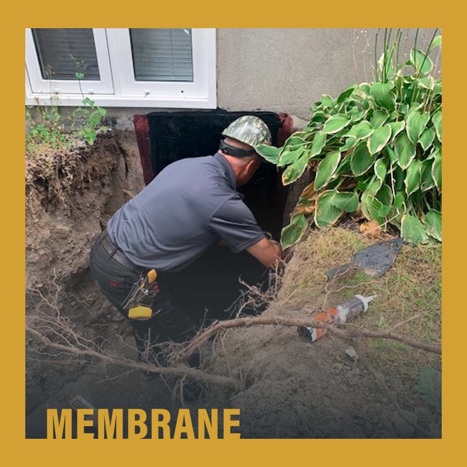 Drainage (10)