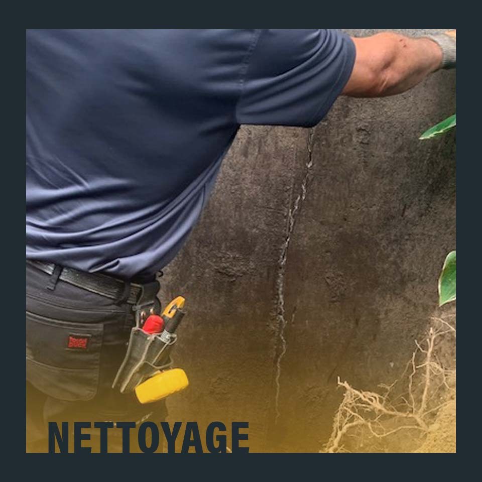 Drainage (9)